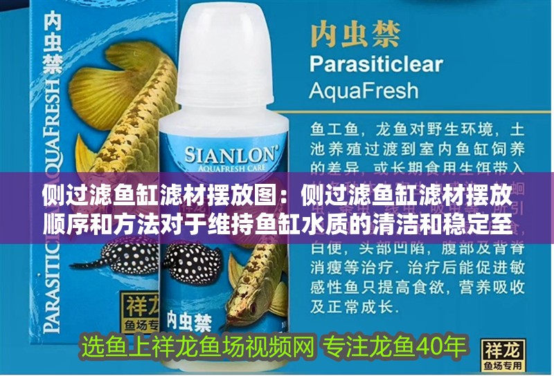 側(cè)過濾魚缸濾材擺放圖：側(cè)過濾魚缸濾材擺放順序和方法對(duì)于維持魚缸水質(zhì)的清潔和穩(wěn)定至關(guān)重要，過濾魚缸濾材擺放圖，順序方法及對(duì)維持水質(zhì)清潔