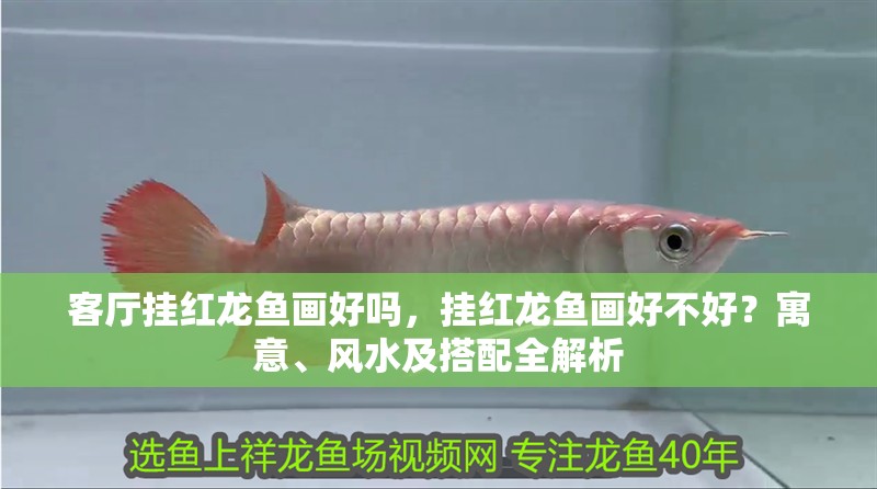 客廳掛紅龍魚畫好嗎，掛紅龍魚畫好不好？寓意、風水及搭配全解析
