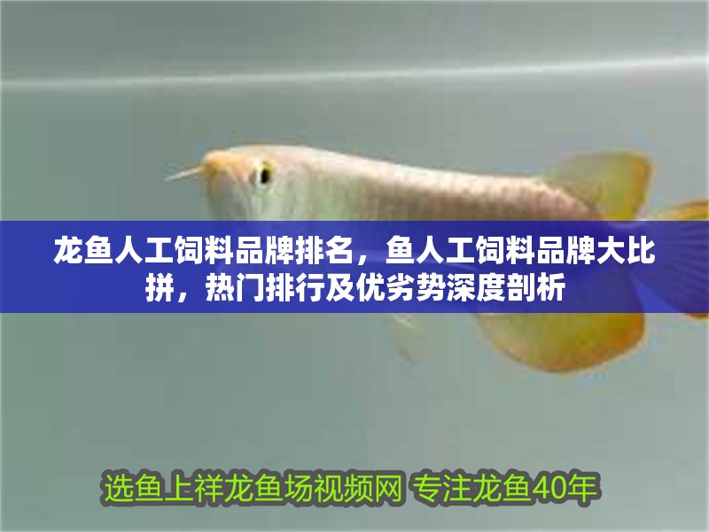 龍魚人工飼料品牌排名，魚人工飼料品牌大比拼，熱門排行及優劣勢深度剖析