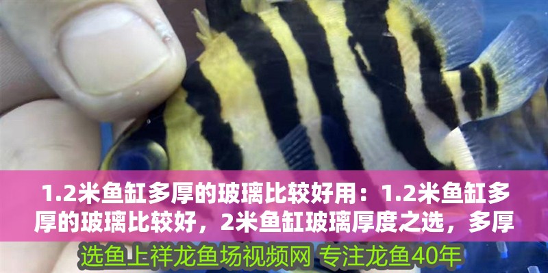 1.2米魚缸多厚的玻璃比較好用：1.2米魚缸多厚的玻璃比較好，2米魚缸玻璃厚度之選，多厚才實用好用
