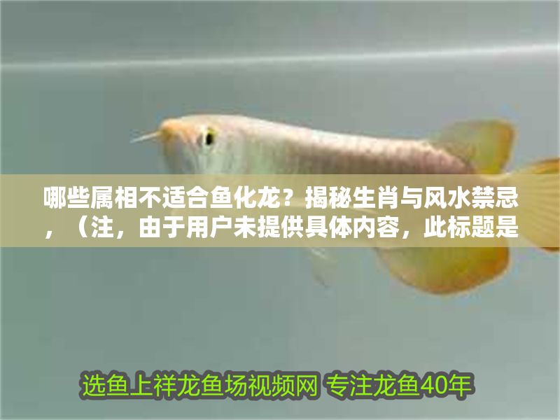 哪些屬相不適合魚化龍？揭秘生肖與風水禁忌，（注，由于用戶未提供具體內容，此標題是基于常見風水話題生成的示例。若用戶補充內容，可生成更精準的標題。）