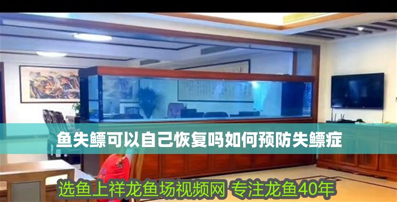 魚失鰾可以自己恢復(fù)嗎如何預(yù)防失鰾癥
