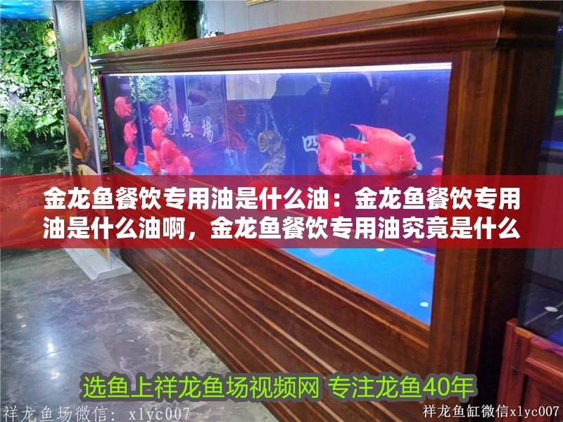 金龍魚餐飲專用油是什么油：金龍魚餐飲專用油是什么油啊，金龍魚餐飲專用油究竟是什么油？