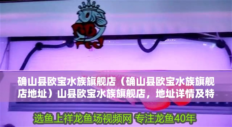 確山縣歐寶水族旗艦店（確山縣歐寶水族旗艦店地址）山縣歐寶水族旗艦店，地址詳情及特色水族產品