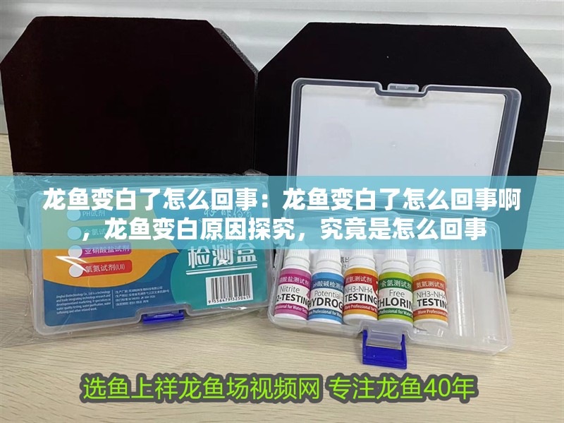 龍魚變白了怎么回事：龍魚變白了怎么回事啊，龍魚變白原因探究，究竟是怎么回事