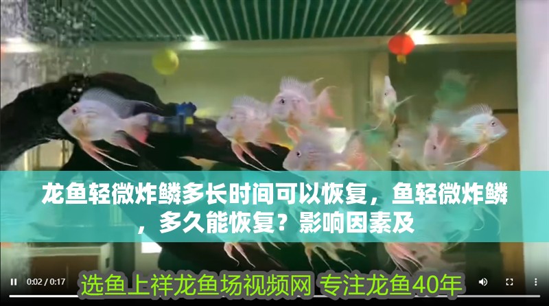 龍魚輕微炸鱗多長時間可以恢復，魚輕微炸鱗，多久能恢復？影響因素及