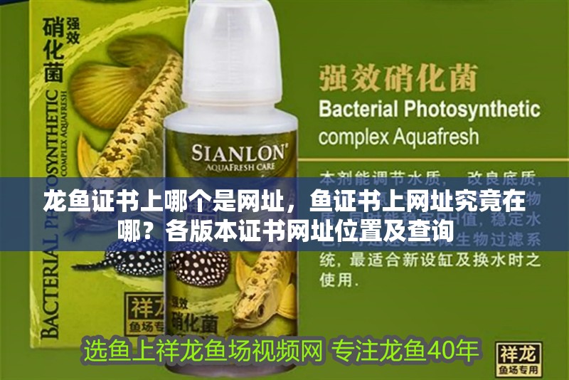 龍魚證書上哪個是網址，魚證書上網址究竟在哪？各版本證書網址位置及查詢