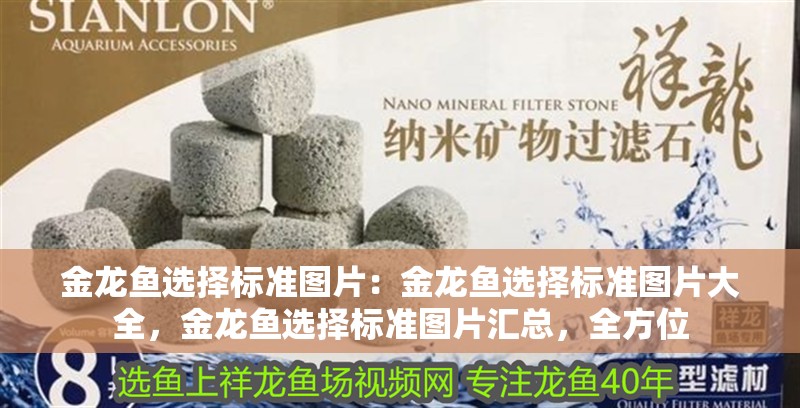 金龍魚選擇標(biāo)準(zhǔn)圖片：金龍魚選擇標(biāo)準(zhǔn)圖片大全，金龍魚選擇標(biāo)準(zhǔn)圖片匯總，全方位