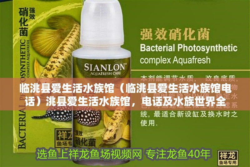 臨洮縣愛生活水族館（臨洮縣愛生活水族館電話）洮縣愛生活水族館，電話及水族世界全