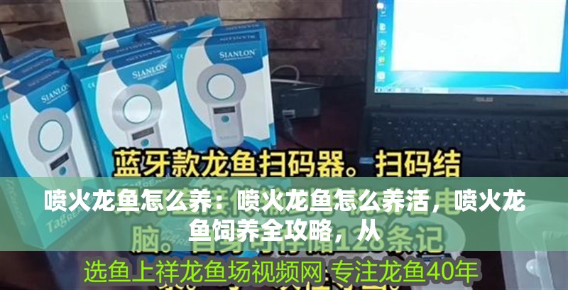 噴火龍魚怎么養：噴火龍魚怎么養活，噴火龍魚飼養全攻略，從