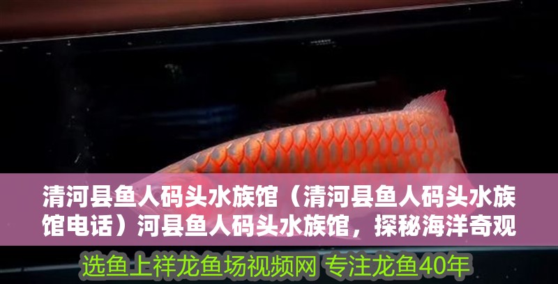 清河縣魚(yú)人碼頭水族館（清河縣魚(yú)人碼頭水族館電話）河縣魚(yú)人碼頭水族館，探秘海洋奇觀