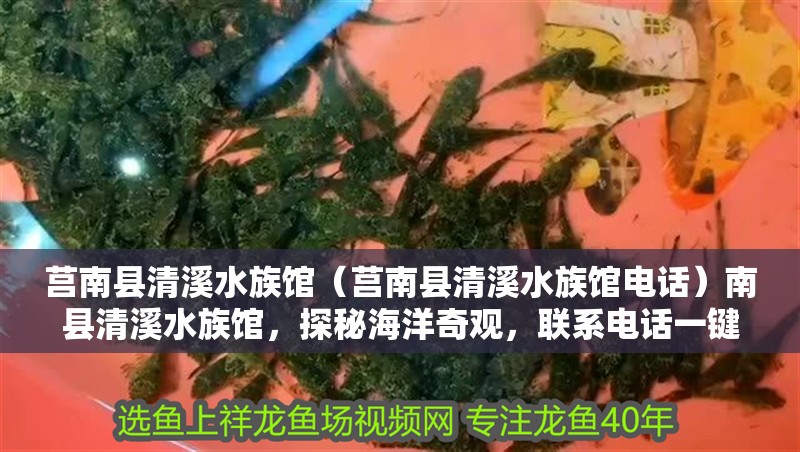 莒南縣清溪水族館（莒南縣清溪水族館電話）南縣清溪水族館，探秘海洋奇觀，聯系電話一鍵