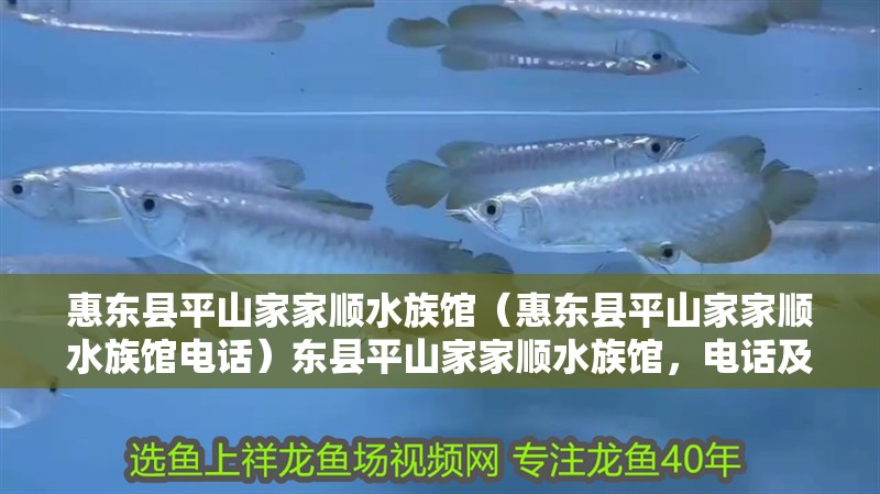 惠東縣平山家家順水族館（惠東縣平山家家順水族館電話）東縣平山家家順水族館，電話及特色