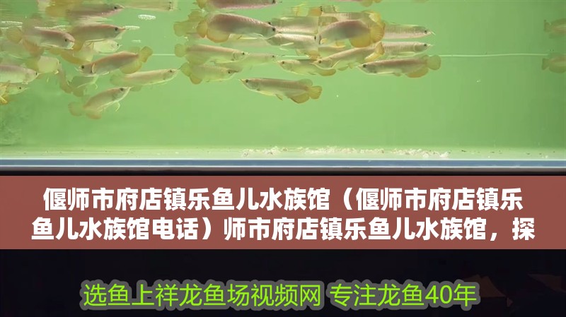 偃師市府店鎮樂魚兒水族館（偃師市府店鎮樂魚兒水族館電話）師市府店鎮樂魚兒水族館，探尋電話及