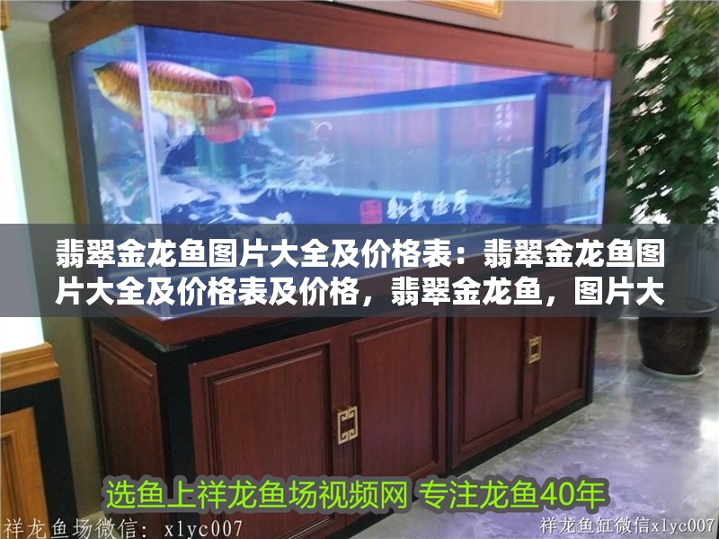 翡翠金龍魚圖片大全及價格表：翡翠金龍魚圖片大全及價格表及價格，翡翠金龍魚，圖片大全與價格