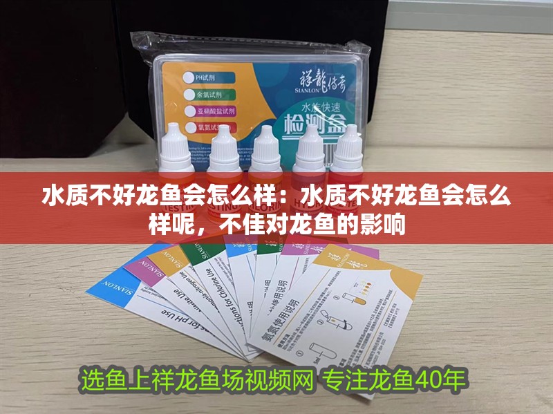 水質(zhì)不好龍魚會怎么樣：水質(zhì)不好龍魚會怎么樣呢，不佳對龍魚的影響