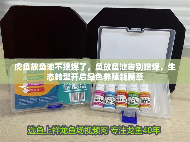 虎魚放魚池不挖煤了，魚放魚池告別挖煤，生態轉型開啟綠色養殖新篇章