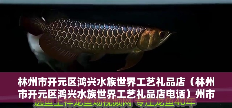 林州市開元區(qū)鴻興水族世界工藝禮品店（林州市開元區(qū)鴻興水族世界工藝禮品店電話）州市開元區(qū)鴻興水族世界工藝禮品店詳情及聯系電話