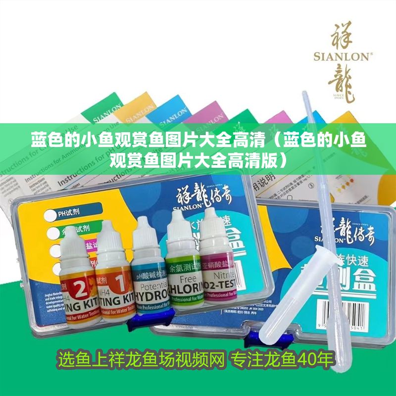 藍(lán)色的小魚觀賞魚圖片大全高清（藍(lán)色的小魚觀賞魚圖片大全高清版）