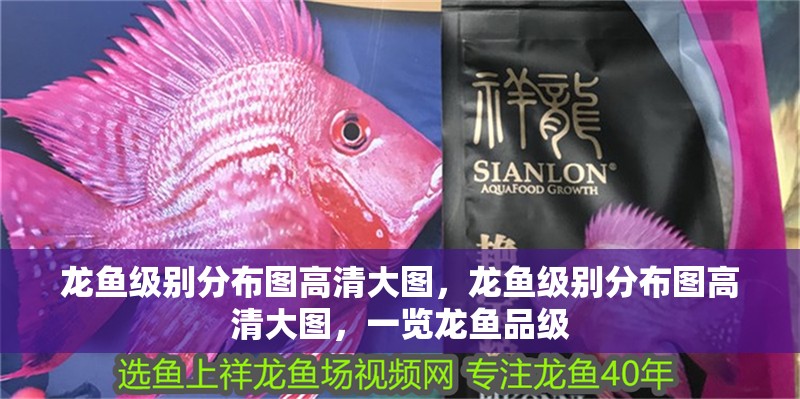 龍魚級別分布圖高清大圖，龍魚級別分布圖高清大圖，一覽龍魚品級