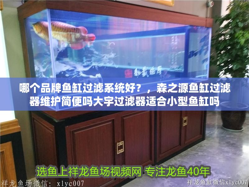 哪個品牌魚缸過濾系統好？，森之源魚缸過濾器維護簡便嗎大宇過濾器適合小型魚缸嗎