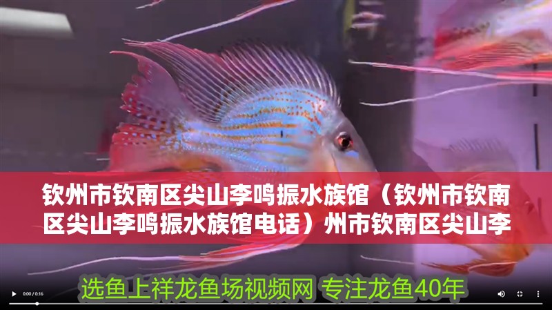 欽州市欽南區尖山李鳴振水族館（欽州市欽南區尖山李鳴振水族館電話）州市欽南區尖山李鳴振水族館詳情及