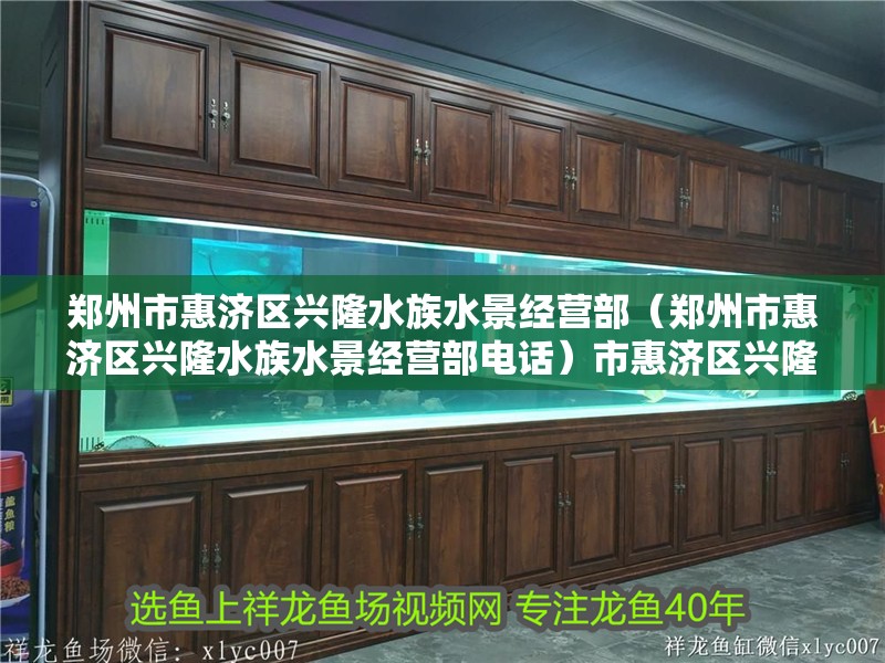 鄭州市惠濟區興隆水族水景經營部（鄭州市惠濟區興隆水族水景經營部電話）市惠濟區興隆水族水景經營部，電話及水族水景業務詳情介紹