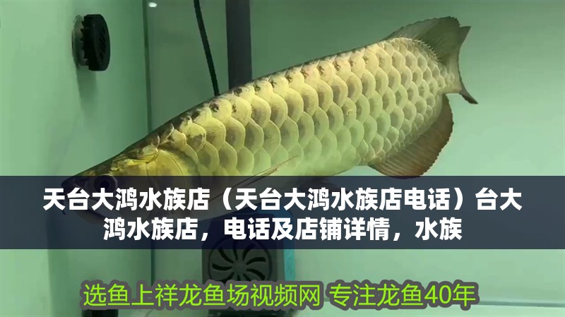 天臺大鴻水族店（天臺大鴻水族店電話）臺大鴻水族店，電話及店鋪詳情，水族