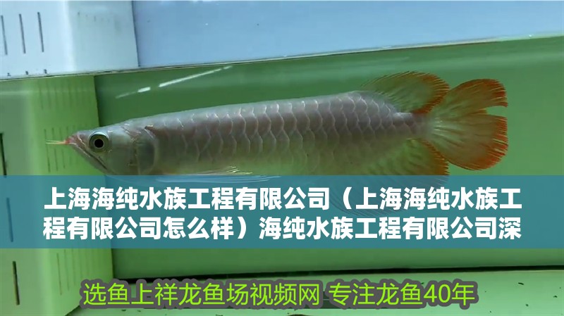 上海海純水族工程有限公司（上海海純水族工程有限公司怎么樣）海純水族工程有限公司深度剖析，實力、口碑與服務(wù)全
