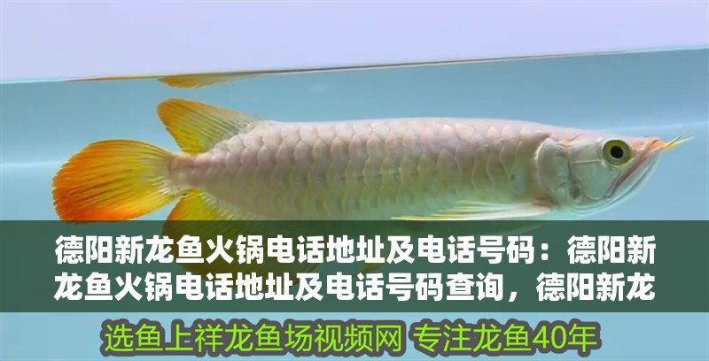 德陽新龍魚火鍋電話地址及電話號碼：德陽新龍魚火鍋電話地址及電話號碼查詢，德陽新龍魚火鍋電話地址詳情