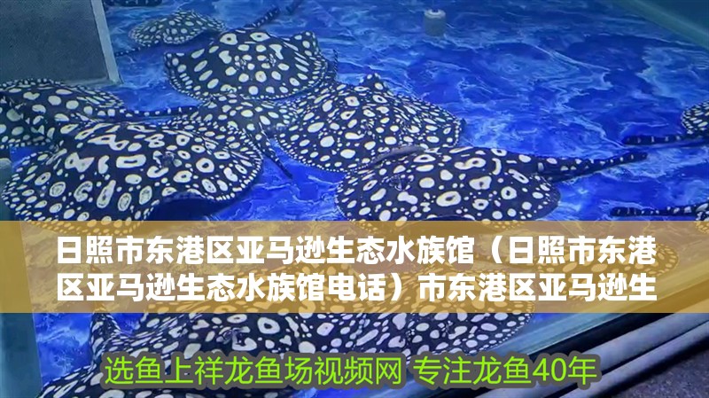 日照市東港區亞馬遜生態水族館（日照市東港區亞馬遜生態水族館電話）市東港區亞馬遜生態水族館