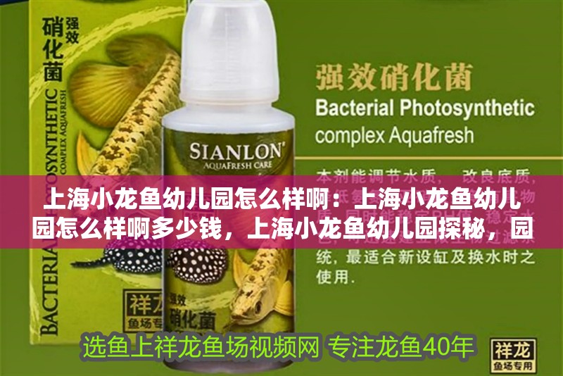 上海小龍魚幼兒園怎么樣?。荷虾Ｐ↓堲~幼兒園怎么樣啊多少錢，上海小龍魚幼兒園探秘，園所情況及收費詳情