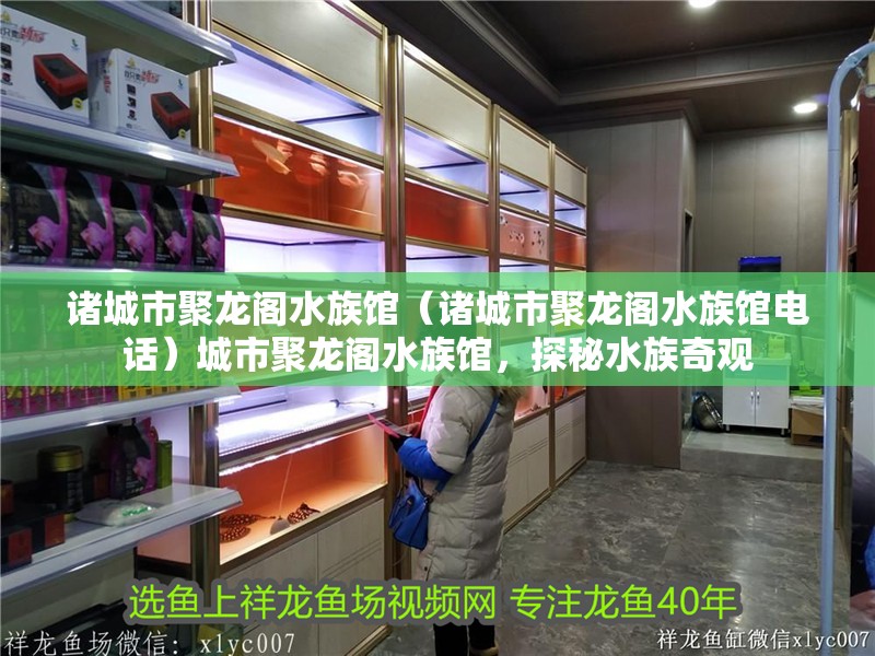 諸城市聚龍閣水族館（諸城市聚龍閣水族館電話）城市聚龍閣水族館，探秘水族奇觀