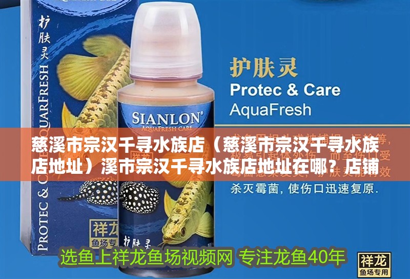 慈溪市宗漢千尋水族店（慈溪市宗漢千尋水族店地址）溪市宗漢千尋水族店地址在哪？店鋪詳情