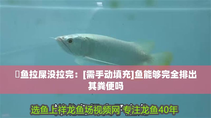 魟魚拉屎沒拉完：[需手動(dòng)填充]魚能夠完全排出其糞便嗎