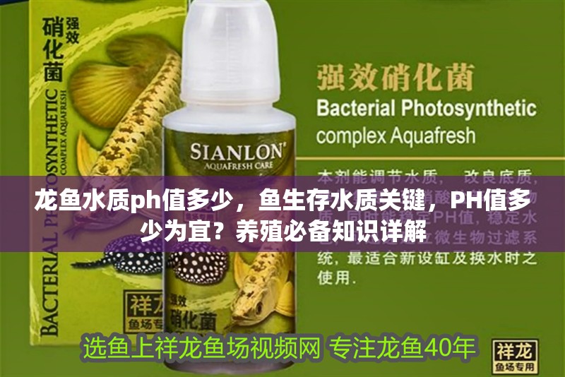 龍魚水質ph值多少，魚生存水質關鍵，PH值多少為宜？養殖必備知識詳解