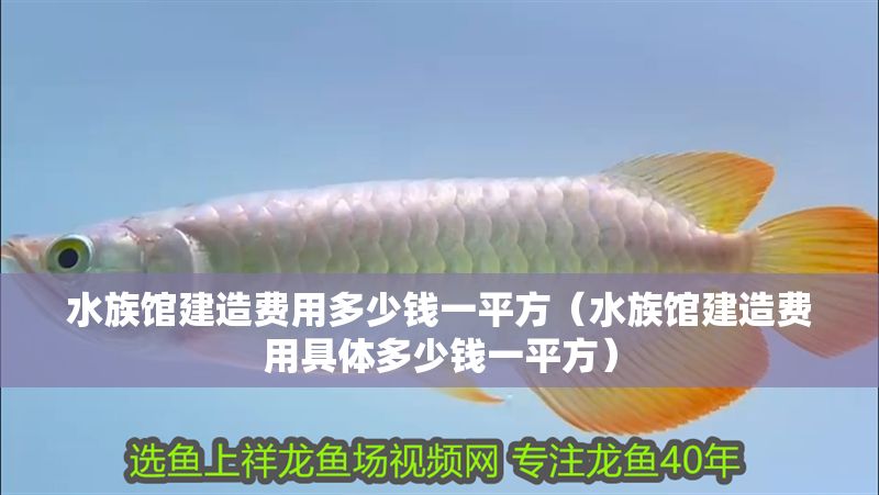 水族館建造費用多少錢一平方（水族館建造費用具體多少錢一平方）