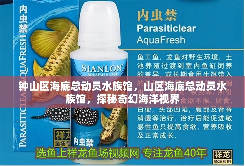 鐘山區海底總動員水族館，山區海底總動員水族館，探秘奇幻海洋視界