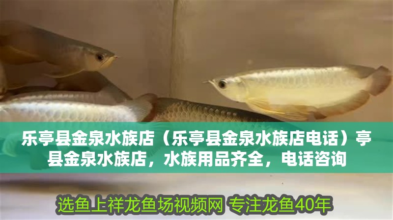 樂亭縣金泉水族店（樂亭縣金泉水族店電話）亭縣金泉水族店，水族用品齊全，電話咨詢
