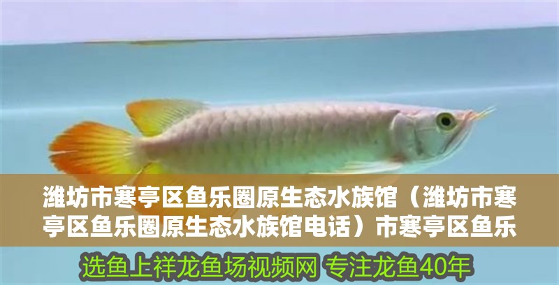 濰坊市寒亭區(qū)魚樂圈原生態(tài)水族館（濰坊市寒亭區(qū)魚樂圈原生態(tài)水族館電話）市寒亭區(qū)魚樂圈原生態(tài)水族館，探