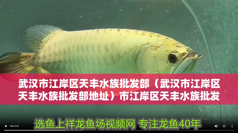 武漢市江岸區(qū)天豐水族批發(fā)部（武漢市江岸區(qū)天豐水族批發(fā)部地址）市江岸區(qū)天豐水族批發(fā)部