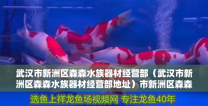 武漢市新洲區(qū)森森水族器材經(jīng)營(yíng)部（武漢市新洲區(qū)森森水族器材經(jīng)營(yíng)部地址）市新洲區(qū)森森水族器材經(jīng)營(yíng)部地址及相關(guān)信息詳解
