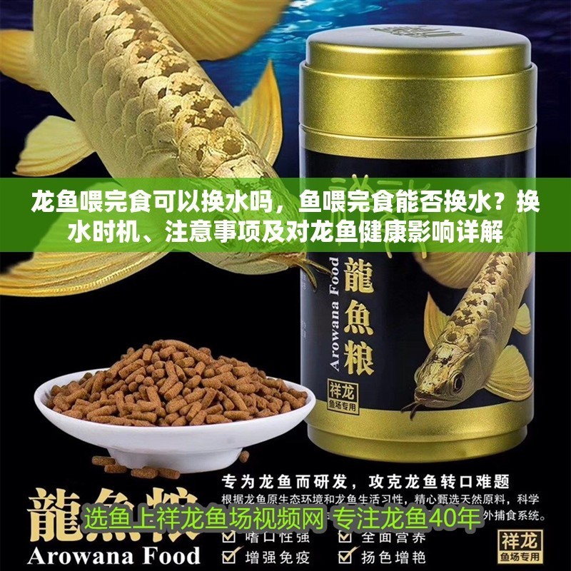 龍魚喂完食可以換水嗎，魚喂完食能否換水？換水時機、注意事項及對龍魚健康影響詳解