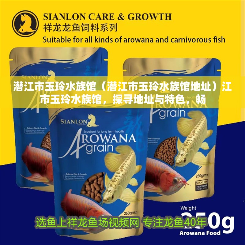 潛江市玉玲水族館（潛江市玉玲水族館地址）江市玉玲水族館，探尋地址與特色，暢