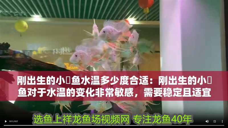 剛出生的小魟魚水溫多少度合適：剛出生的小魟魚對于水溫的變化非常敏感，需要穩(wěn)定且適宜的水溫環(huán)境
