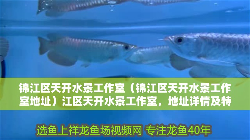 錦江區(qū)天開(kāi)水景工作室（錦江區(qū)天開(kāi)水景工作室地址）江區(qū)天開(kāi)水景工作室，地址詳情及特色水景設(shè)計(jì)