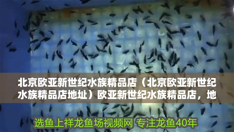 北京歐亞新世紀(jì)水族精品店（北京歐亞新世紀(jì)水族精品店地址）歐亞新世紀(jì)水族精品店，地址詳情及特色水族產(chǎn)品