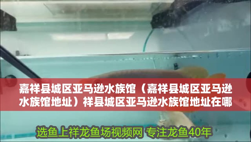 嘉祥縣城區亞馬遜水族館（嘉祥縣城區亞馬遜水族館地址）祥縣城區亞馬遜水族館地址在哪？探秘特色水