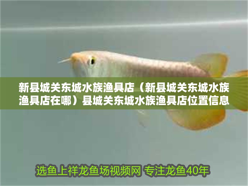 新縣城關東城水族漁具店（新縣城關東城水族漁具店在哪）縣城關東城水族漁具店位置信息，探尋店鋪