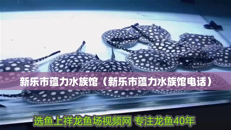 新樂市蘊力水族館（新樂市蘊力水族館電話）